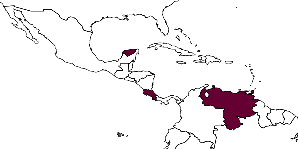 map of Eiphosoma kelpanum     Gauld, 2000